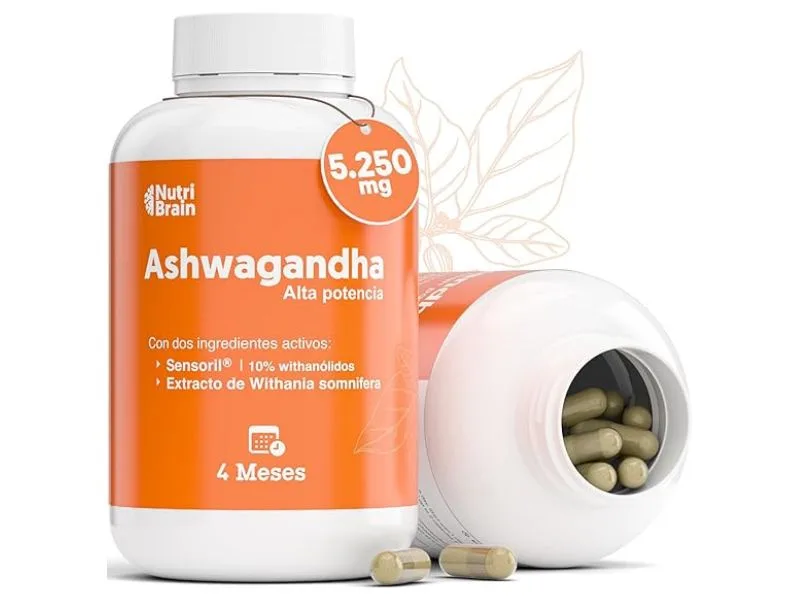 El Mejor Suplemento de Ashwagandha para Reducir el Estrés y Mejorar tu Bienestar: 4 Beneficios, Propiedades y Todo lo que Necesitas Saber 3 Mejor Suplemento de Ashwagandha